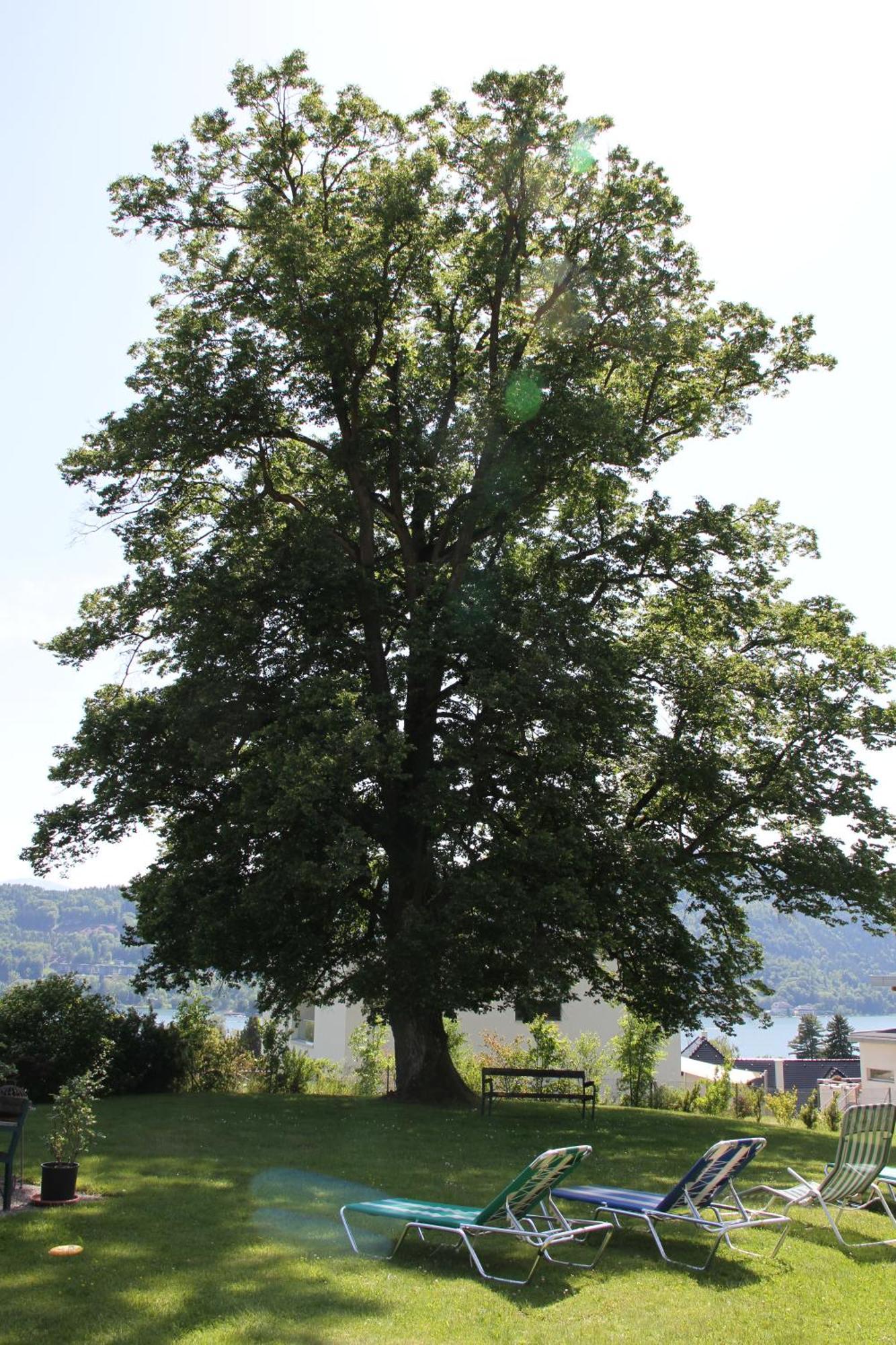 Landhaus Strussnighof Pörtschach am Wörthersee 외부 사진